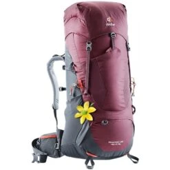 Deuter Aircontact Lite 45+10 SL -Favorite Wear full f02f1d45 6e3e 4d00 a0eb 43dec126a0ba