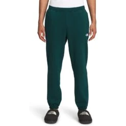 THE NORTH FACE Men's Half Dome Sweatpant 35 THE NORTH FACE Men's Half Dome Sweatpant -Favorite Wear medium 0ccbbc79 7934 4bd9 bdd3 65b6c50b1411