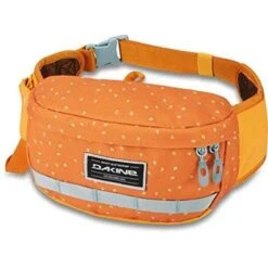 Dakine Hot Laps 2L Fanny Packs -Favorite Wear medium 2705c374 cef3 4a81 88db 3a19b14bc9d9