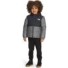 The North Face Reversible Mount Chimbo Full Zip Hooded Kids Jacket 1 The North Face Reversible Mount Chimbo Full Zip Hooded Kids Jacket -Favorite Wear medium 366af7b5 10f1 47c6 b2d2 a54b4c303bb0