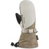 Dakine Women's Sequoia Gore-TEX Mitt -Favorite Wear medium 5bad6ab3 0b1a 4135 b3e0 cc1244ebecb3