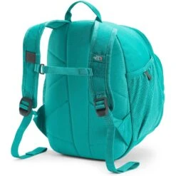 The North Face Unisex Sprout (Toddler/Little Kid) -Favorite Wear medium 6de6f5b9 4d88 4eee b5ff df9f0e2daa6a