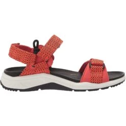 ECCO Men's X-trinsic Sport Sandal -Favorite Wear medium 7e8c793c 0836 4993 b876 fb27ac8cfb71