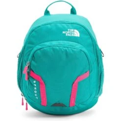 The North Face Unisex Sprout (Toddler/Little Kid) -Favorite Wear medium 8357b1e6 6c68 4721 86ed 590dee9290f7