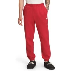 THE NORTH FACE Men's Half Dome Sweatpant 26 THE NORTH FACE Men's Half Dome Sweatpant -Favorite Wear medium 95d41749 f92c 43fc a0a7 4c34ee070bf3