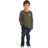 THE NORTH FACE Kids' Long Sleeve Tri-Blend Graphic Tee -Favorite Wear medium 9ae47f38 d669 447d 890a e5c28cbef0c9