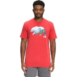 The North Face Men's S/S TNF Bear Tee -Favorite Wear medium a1dfea1b 4f5b 47c9 8752 67954357a4cc