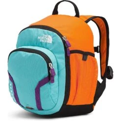 The North Face Unisex Sprout (Toddler/Little Kid) -Favorite Wear medium a5fb42b5 824e 4838 a866 7591f7a28207