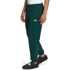THE NORTH FACE Men's Half Dome Sweatpant 37 THE NORTH FACE Men's Half Dome Sweatpant -Favorite Wear medium aa597207 4c14 4b59 ac82 01ce2ab47428