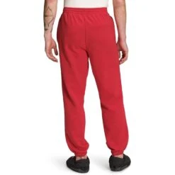 THE NORTH FACE Men's Half Dome Sweatpant 27 THE NORTH FACE Men's Half Dome Sweatpant -Favorite Wear medium be5cabc1 4fd7 4335 bb5d c53423e5e346