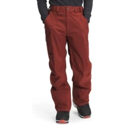 The North Face Men's Freedom Pant -Favorite Wear medium c287c7e1 4efe 44a3 be98 36d048e7c4d2