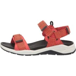 ECCO Men's X-trinsic Sport Sandal -Favorite Wear medium c4dae80b b132 43c1 ad99 e5ec9e9418f1