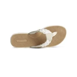 Sperry Women's Parrotfish Braid Sandal 18 Sperry Women's Parrotfish Braid Sandal -Favorite Wear medium ca06a3be d8ca 4e30 8d77 082d38aca1ba