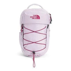 The North Face Borealis Mini Backpack -Favorite Wear medium d141891a 6f40 44f1 b707 48bd98eba6b1