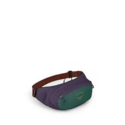 Osprey Daylite Waist Pack -Favorite Wear medium d1fb2184 2ea5 4ca6 9879 84bd41693ad0