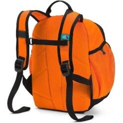 The North Face Unisex Sprout (Toddler/Little Kid) -Favorite Wear medium f0f4a452 9ead 479c ac24 0cf5f75f8b51